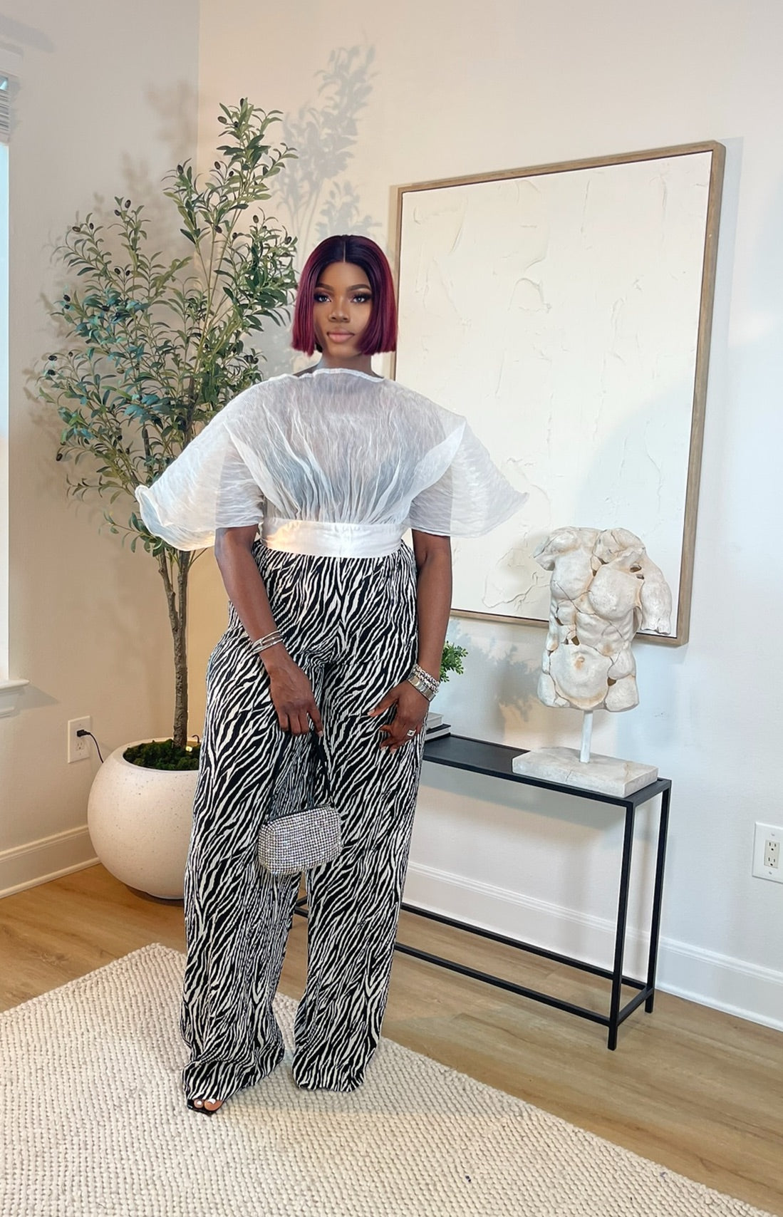 Savanna Zebra Set