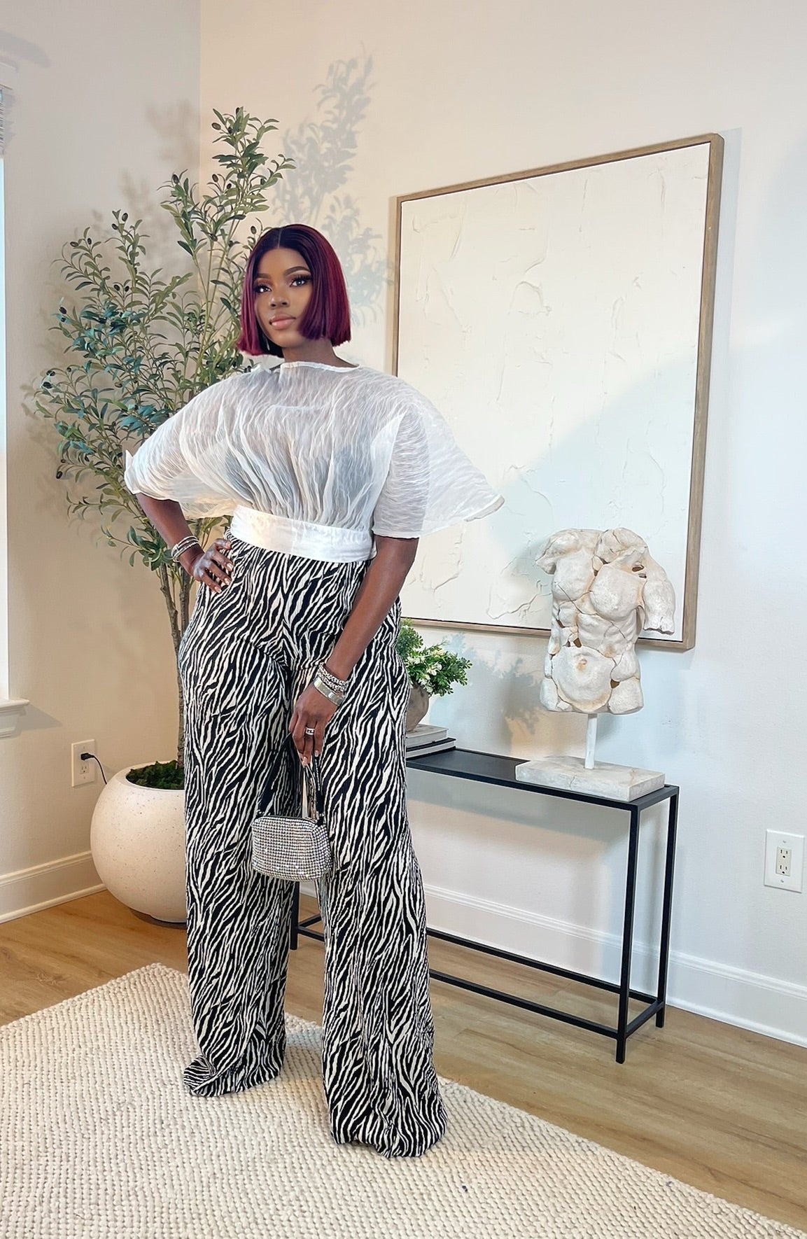 Savanna Zebra Set